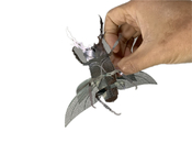 Le modèle Adult Metal Puzzle d'insecte de Diy 3D souillent le matériel en acier